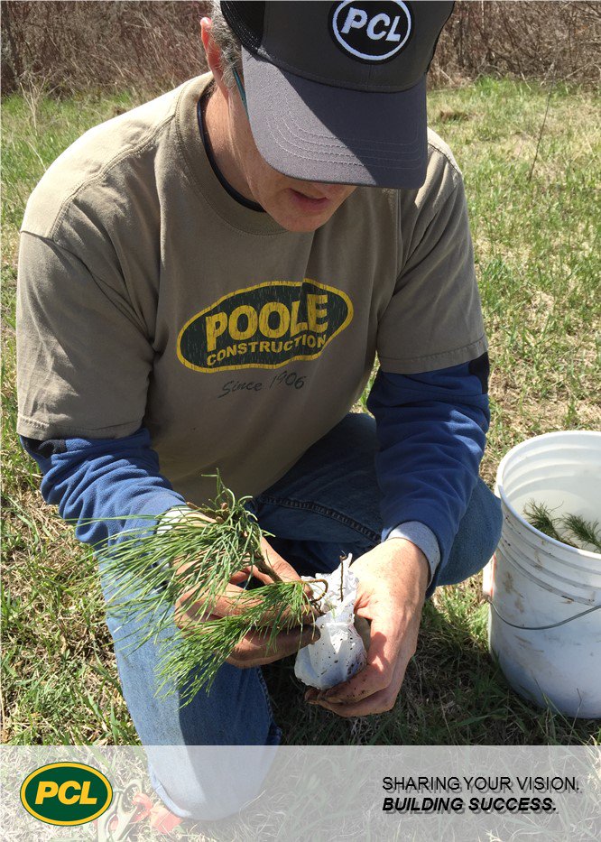 PCLConstruction's tweet photo. Planters &amp; PCLers give @Forests_Ontario the gift of 369,473 trees for #Canada150! #PCLCanada150 https://t.co/J9Nms1DpX9 #GreenLeafChallenge https://t.co/LKONY5cki7