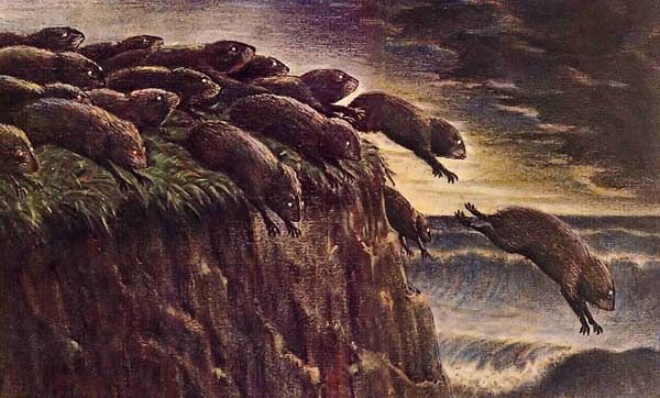 DA_Stockman's tweet photo. Lemmings https://t.co/D7XEcfcmed https://t.co/Ig1avn3PJP