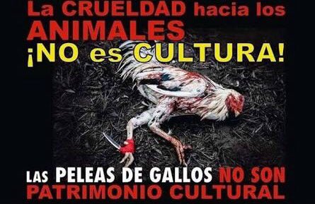 A_Patitas's tweet photo. #HasTuCompromisoGobYunes #VetoALaLeyGallera @yoconyunes https://t.co/UnYDlNP5oa