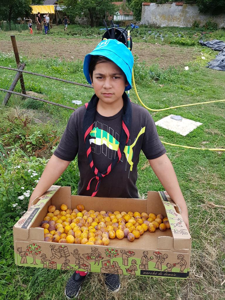 Enfantscanal's tweet photo. Visite du potager au château des @sgdf de Jambville dans le cadre du projet #scolarisation https://t.co/MBvDMYNNVO