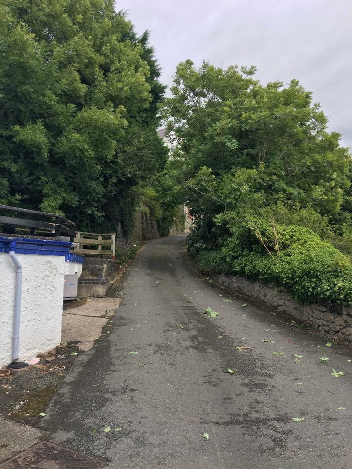 Good news this #anglesey #foodie hotel is back in business! The tree has been removed