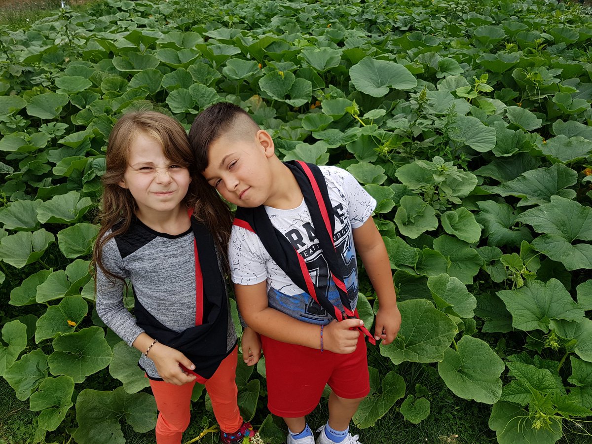 Enfantscanal's tweet photo. Visite du potager au château des @sgdf de Jambville dans le cadre du projet #scolarisation https://t.co/MBvDMYNNVO
