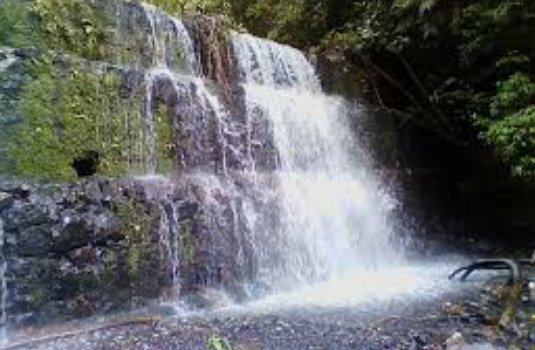 aguirrealma20's tweet photo. Visita Lara y encuentra tu paz interior en sus maravillosos parques naturales #RedesYTurismo #Cortulara https://t.co/bFS6sQ2xA7