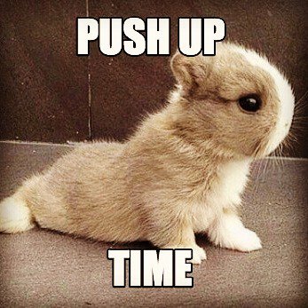 JLRosin's tweet photo. My first thought this morning was,"I really hope today's workout doesn't have any push-ups". Oh the soreness!  #InsanityMax30 #NeedARestDay https://t.co/Zp4qh1kOcX