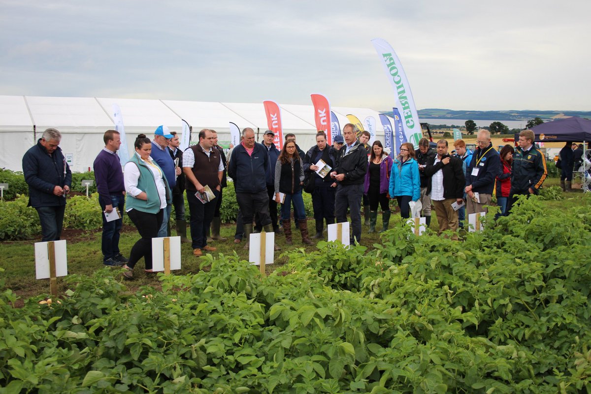 JamesHuttonInst's tweet photo. Come to #PotatoesInPractice on Thu 10 Aug for latest #potato research, varieties, machinery, advice & trade exhibits https://t.co/s2FPU71BI1 https://t.co/0h8msSdSLP