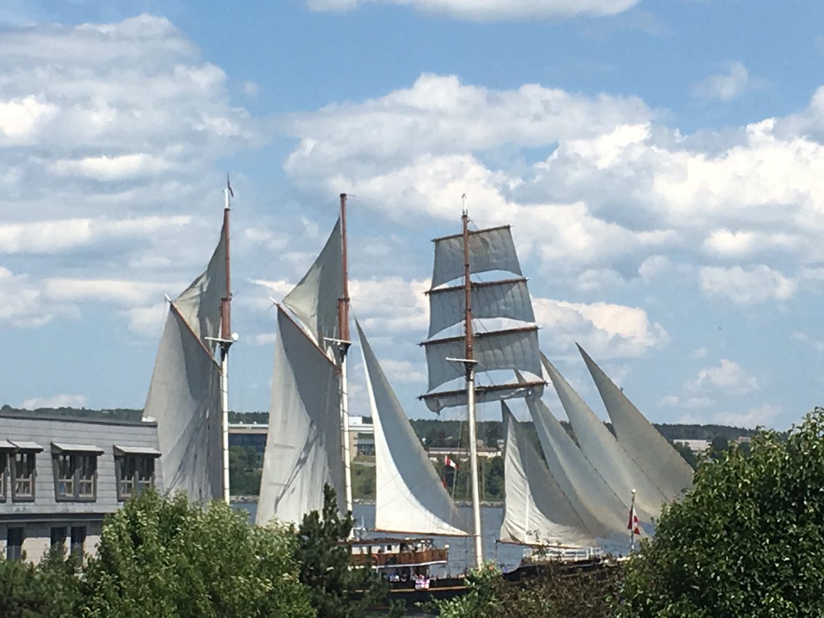 FloriaTrans4rms's tweet photo. Meetings with spectacular view #ParadeOfSails as backdrop.Most enjoyable #ProductiveMeeting #InspiredConversations @cwb_ns @halifaxchamber https://t.co/7v6GG4T1sT