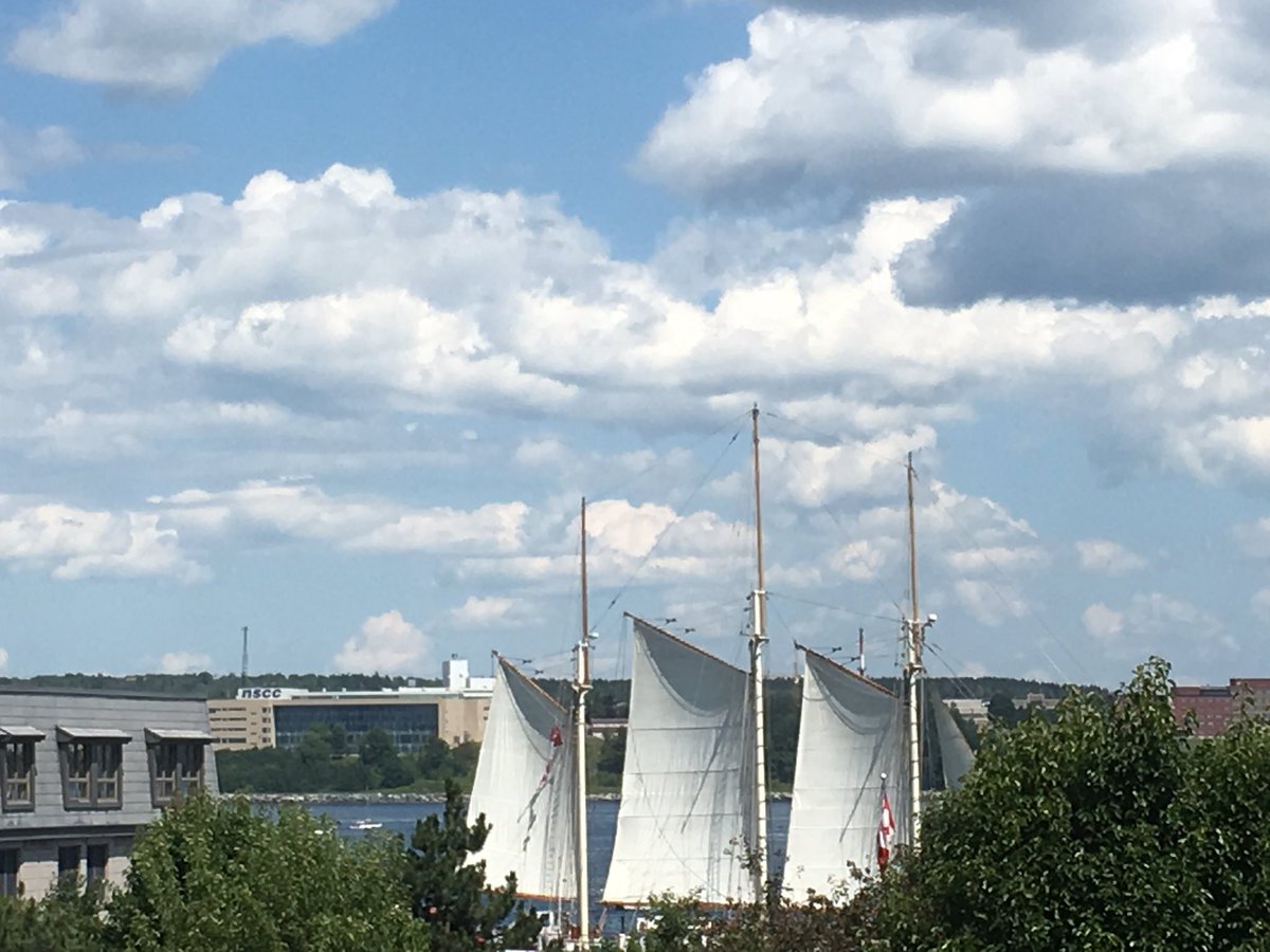 FloriaTrans4rms's tweet photo. Meetings with spectacular view #ParadeOfSails as backdrop.Most enjoyable #ProductiveMeeting #InspiredConversations @cwb_ns @halifaxchamber https://t.co/7v6GG4T1sT