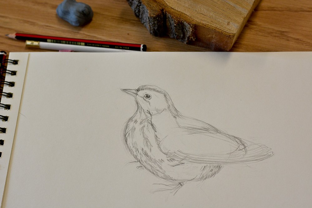 TRCA_TTP's tweet photo. Thrilled to have #art instructor Alan Li teach our campers bird field sketching at #JuniorBirdersCamp! Sign up here! https://t.co/dsh1M8aR1H https://t.co/sJL1NbwDwP