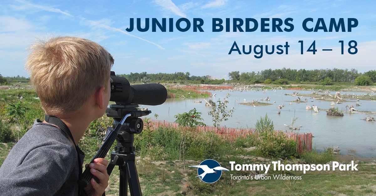 TRCA_TTP's tweet photo. Thrilled to have #art instructor Alan Li teach our campers bird field sketching at #JuniorBirdersCamp! Sign up here! https://t.co/dsh1M8aR1H https://t.co/sJL1NbwDwP