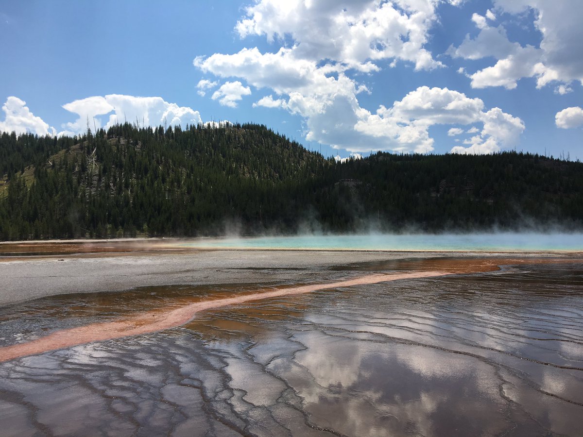 Iavenderblues's tweet photo. here are some pictures I took this week I hope you enjoy https://t.co/EJ8XKSoCCg