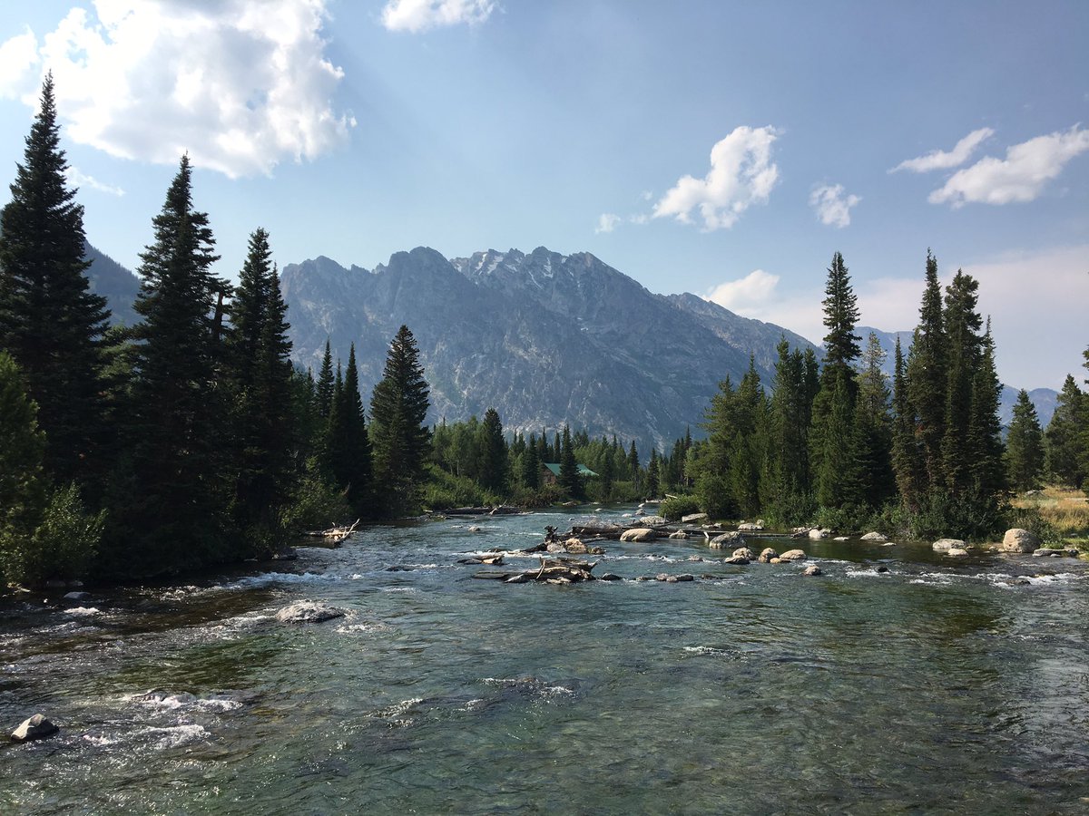 Iavenderblues's tweet photo. here are some pictures I took this week I hope you enjoy https://t.co/EJ8XKSoCCg