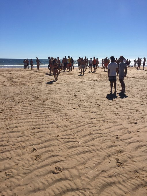 View image on Twitter View image on Twitter