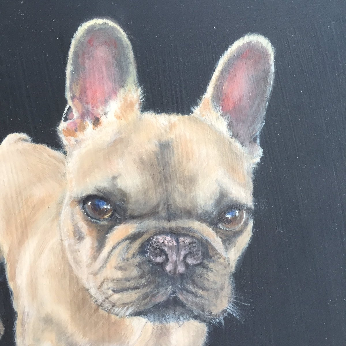 Rosieartwork's tweet photo. 'Frenchie' hot off the easel!  Sweet little #frenchbulldog I met at #Portobello Beach nr Edinburgh #DogsofTwitter #kclovesdogs #dog #Oil 🐶 https://t.co/fOIGLZKBn8