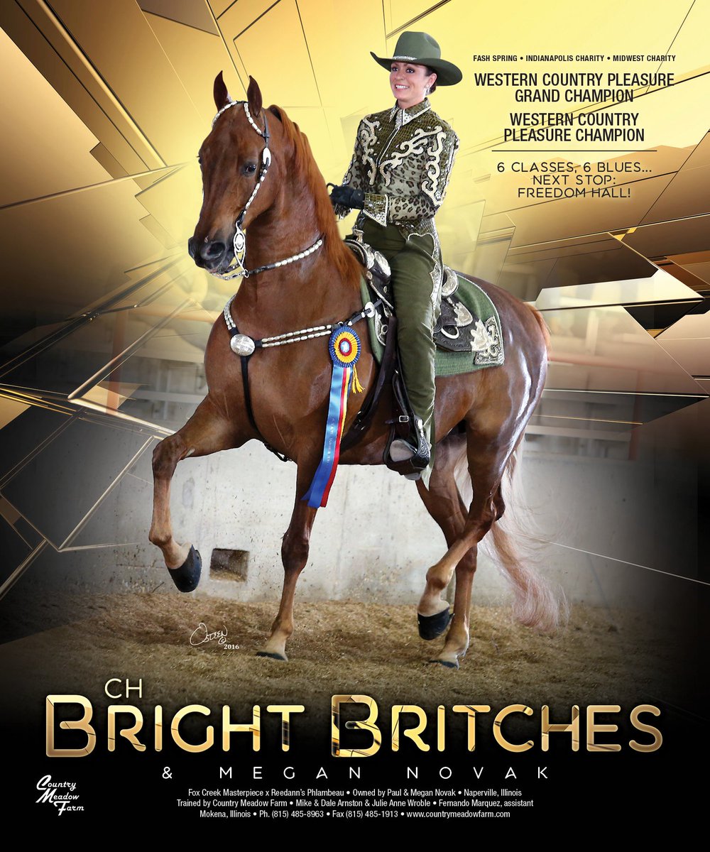 TNH1865's tweet photo. CH Bright Britches & Megan Novak
#nationalhorseman #fashspring #indianapolischarity #midwestcharity #westerncountrypleasure #saddlebred https://t.co/AqGYcfwThl
