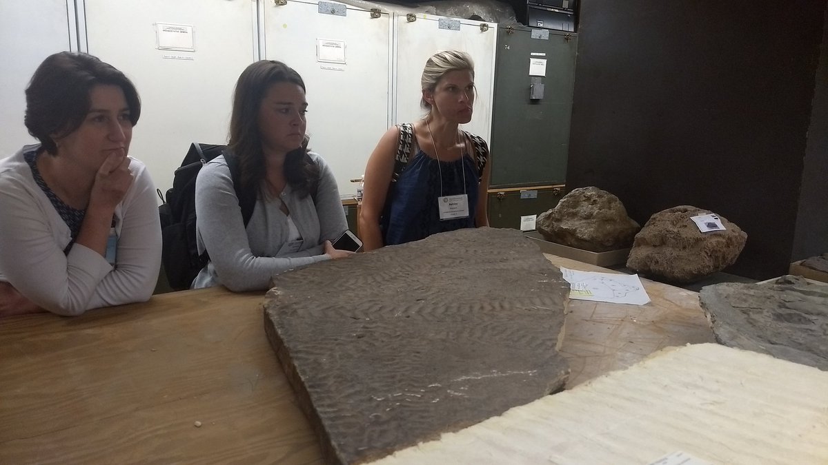 samichiang's tweet photo. Check out these trace fossils! What kind of animal do you think left these tracks? #sseats17 https://t.co/hcQLXTeCVW