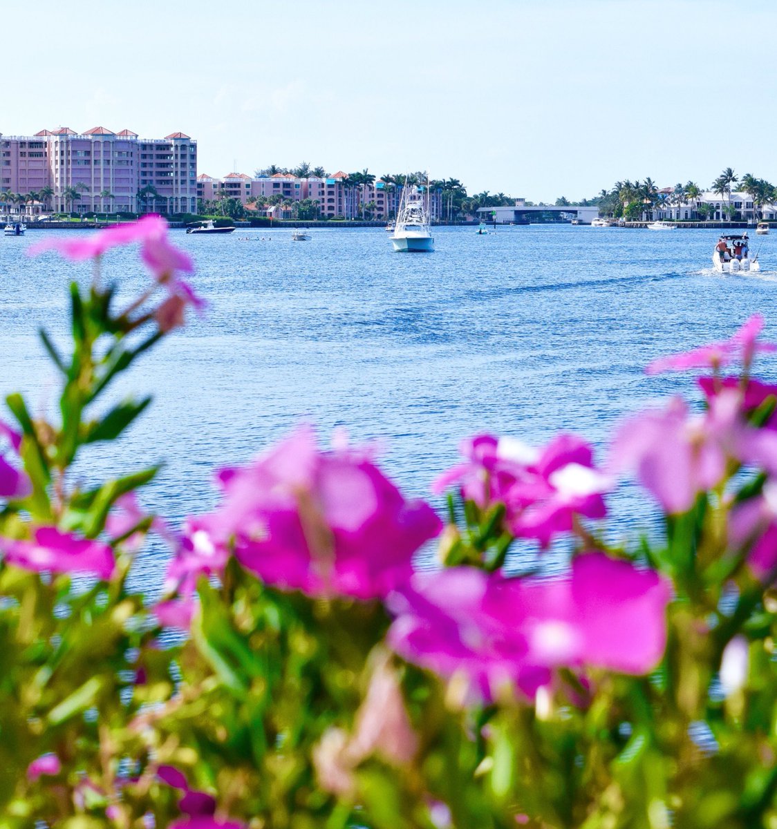 ohsolovingly's tweet photo. Lake #Boca... it was magical! Thank you for having us at the #WaterstoneBoca, @HiltonHotels #ohsolovingly https://t.co/kAByY1bRwL