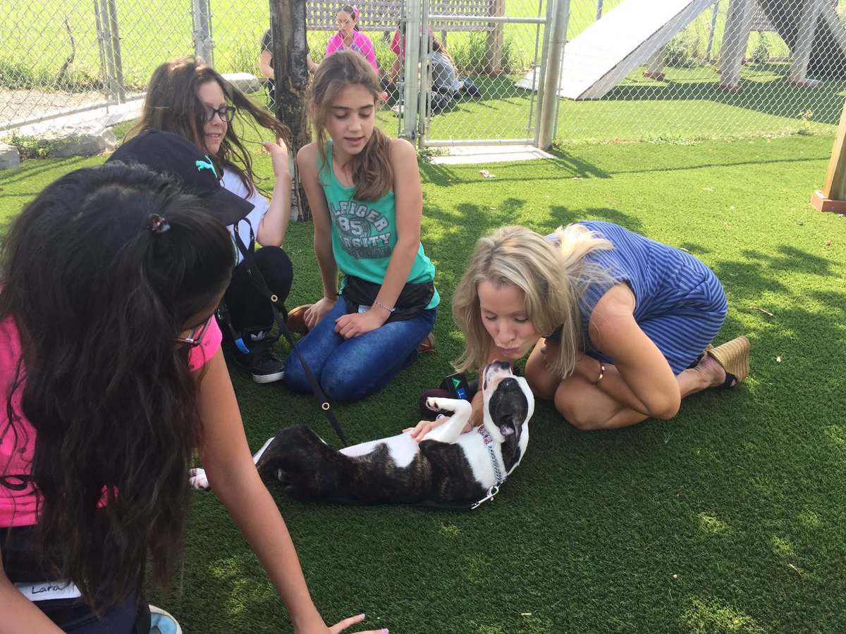 SarahVirro's tweet image. .@DanaCTV is making friends with pups and campers @Pawsitively_Pet #JuniorDogTrainerCamp