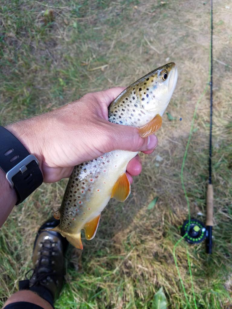 hronthefly's tweet image. Had a few minutes to fish in SD.