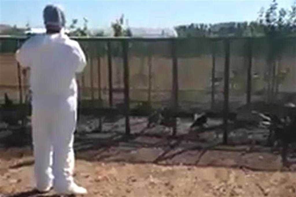 Korkutan şüphe: Köy karantinaya alındı - bit.ly/2vtvVBa #hurriyet #gundem #haber