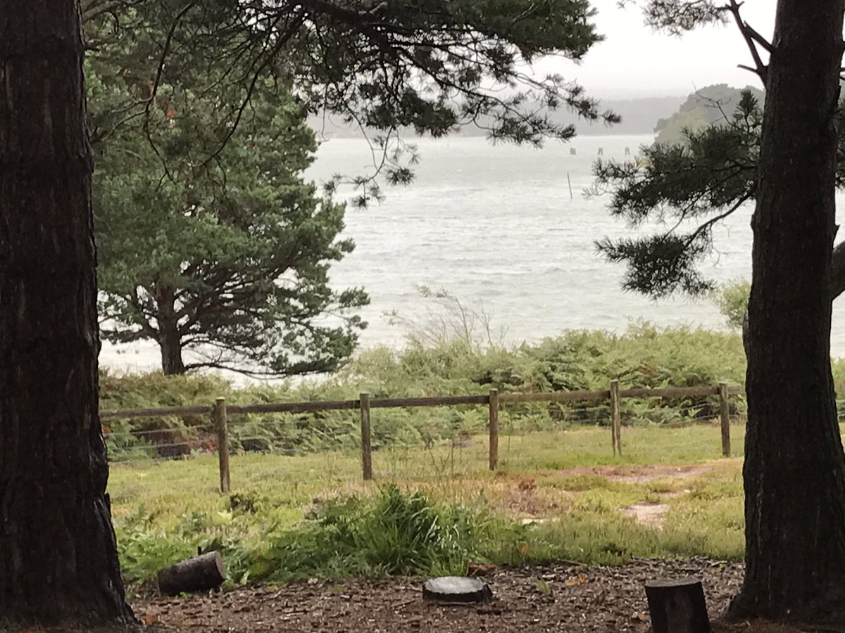 James Green tweet media