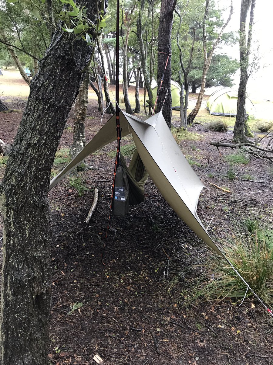 James Green tweet media