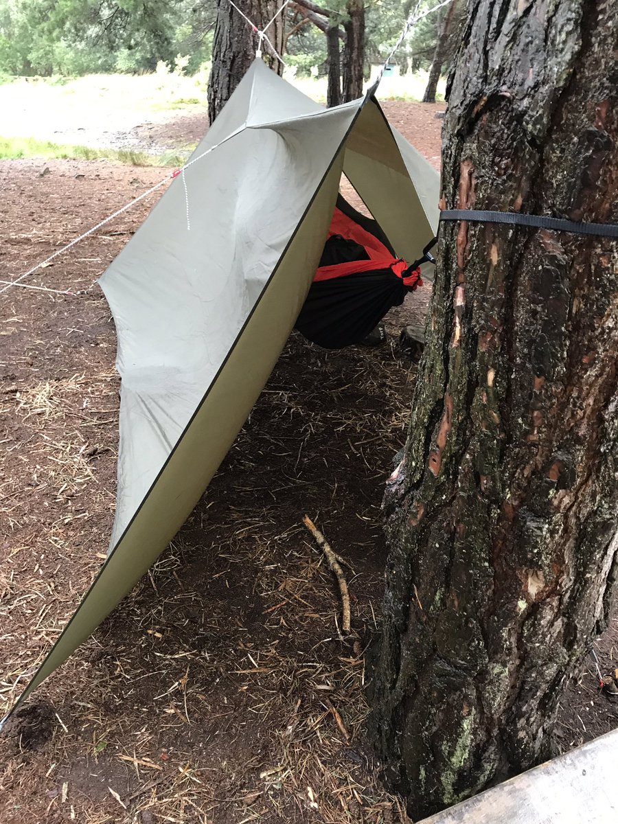 James Green tweet media