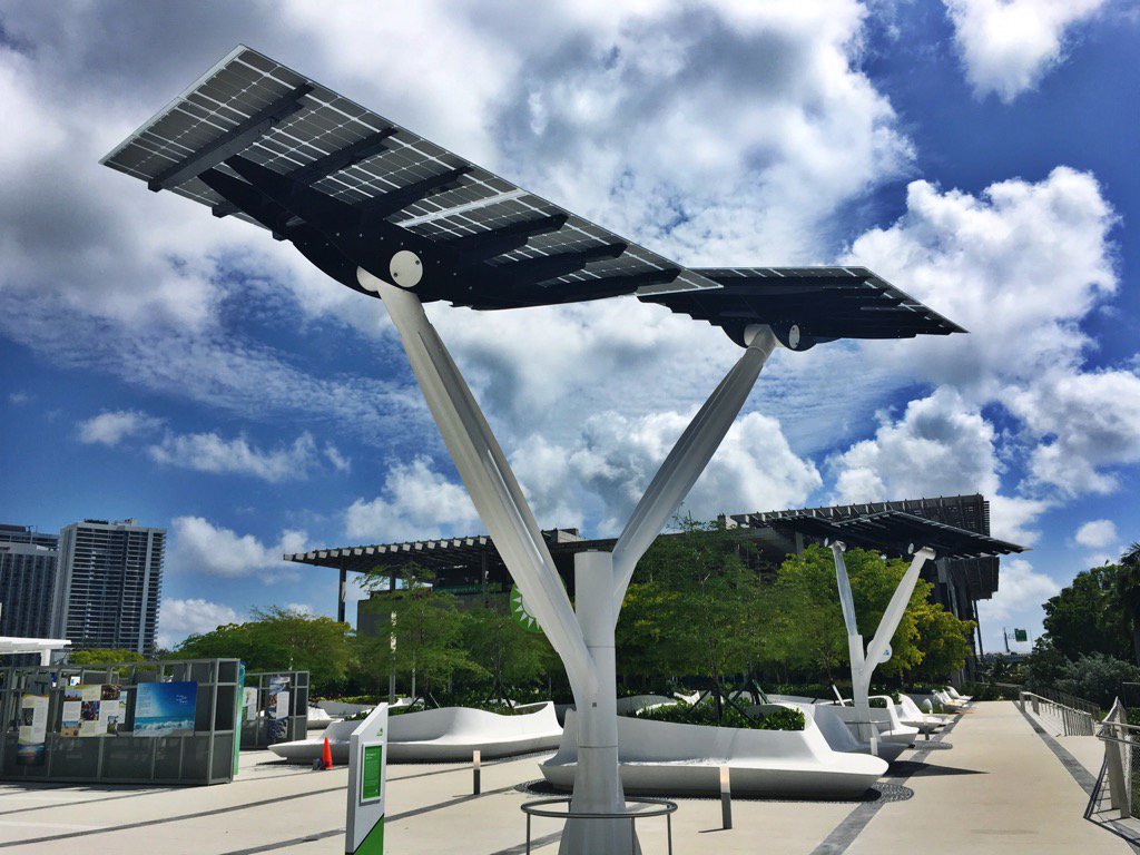 danielzzavala's tweet image. Way more #solartrees needed to resist #globalwarming #GoSolar @insideFPL @ClearMIA ☀️⚡️💪🏻
