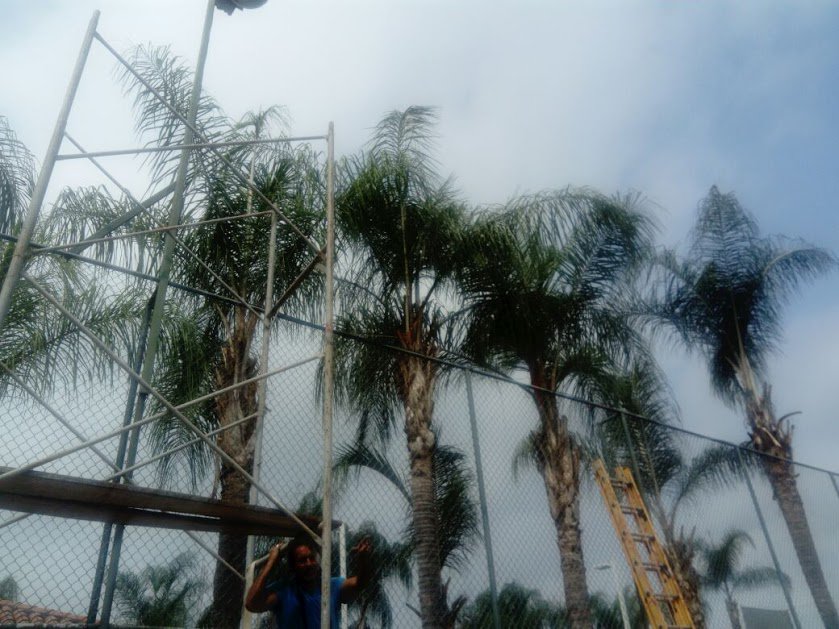 asoboreal02's tweet photo. Cambio de cableado, por cable concéntrico  en el área de las canchas múltiples... https://t.co/CB1jctIgRu