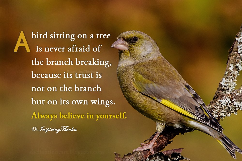 InspiringThinkn's tweet image. A bird sitting on a tree is never afraid of the branch breaking, because its trust... Always believe in yourself. Unknown #quote