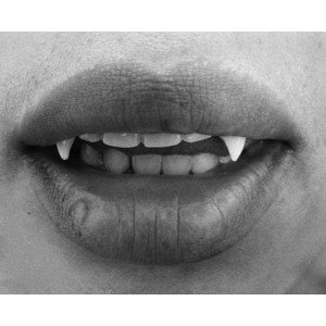 ThomK_MusgVamp's tweet image. FICHA: twitlonger.com/show/n_1sq3372…
🔷Nuevo vampiro en Fakeland
🔷User experimentado
🔷Rol medio a extenso
🔷Sexrol CON trama
🔷Tramas variadas
¿#RT?