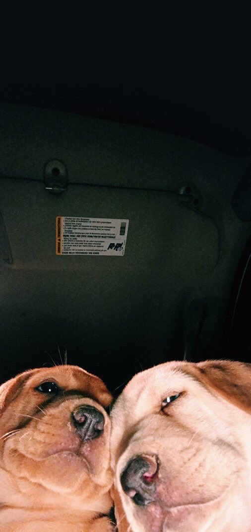 Me and my girl one day 😂💕