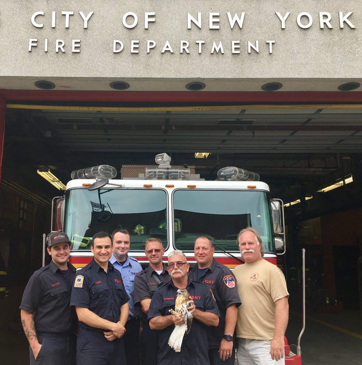 FDNY's tweet photo. #FDNY FF Robert Horvath &amp; #Engine222 released a red-tailed hawk after nurturing it back to health. Read more https://t.co/QrxWgVWWqM https://t.co/xiwEl7xLj5