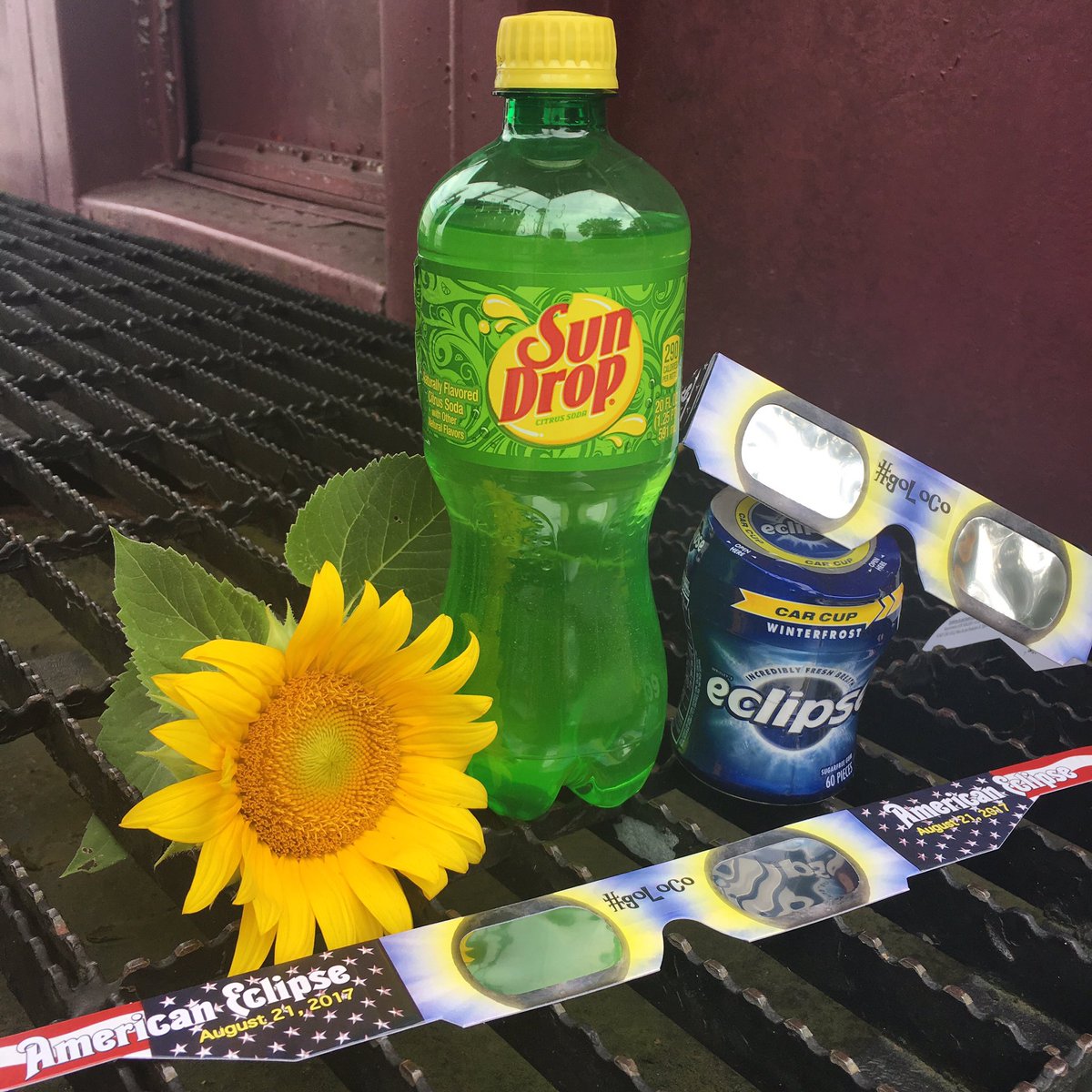 visitloudon's tweet photo. We're giving away the Totally Ultimate Eclipse Basket and here's just a preview! Stay tuned! 😎🌒
#goLoCo #eclipseLoCo #solareclipse2017 https://t.co/WCmFSye48j