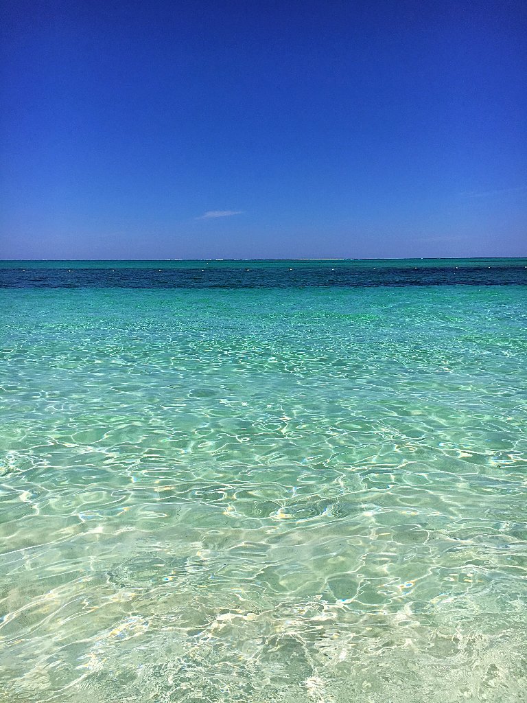 wymaraturks's tweet image. Grace Bay beach with the sand at your feet. No better way to spend your August.