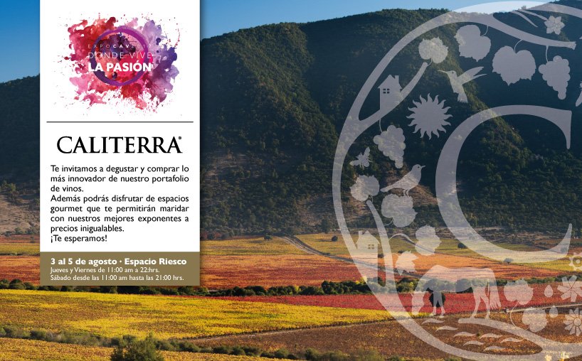 Viña Caliterra tweet media