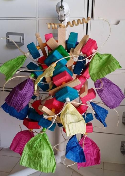 diegostoybox's tweet photo. Products https://t.co/IScPx8GfKa #birdtoys #parrottoys #crazybirdlady https://t.co/DIbyJYkUXV