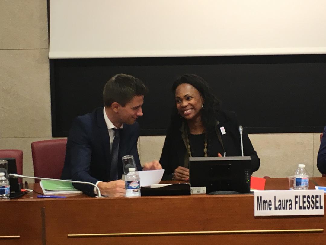 PascalBoisLaREM's tweet photo. Audition de notre ministre du sport @FlesselLaura. Sujet majeur, les JO 2024 mais bien d'autres. #Sport #JO2024 #LREM #DirectAG https://t.co/ymp9a01ptn