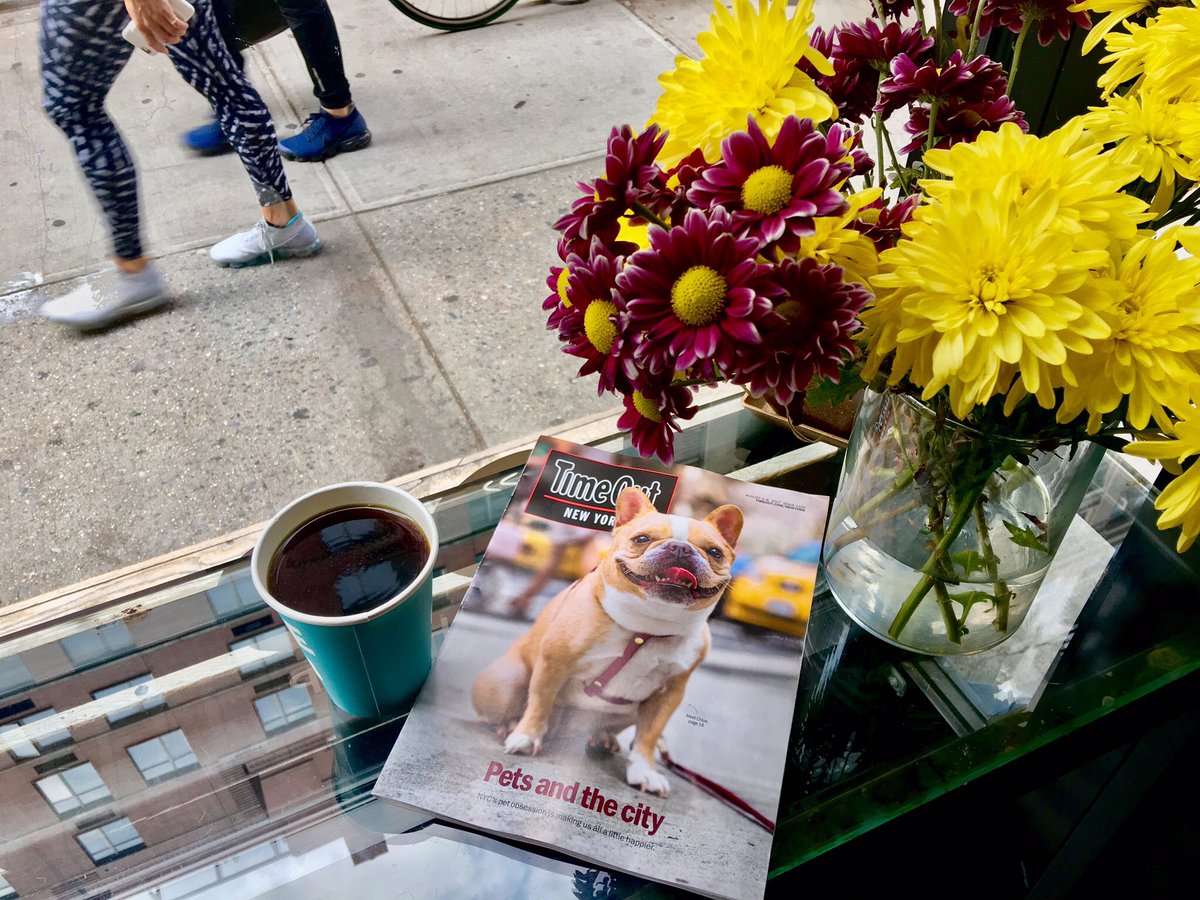 Dogist cover shoot for <a href="/TimeOutNewYork/">Time Out New York</a> , ft: <a href="/ChloeTheMini/">emma the mini frenchie 🐶</a> 📸: @dancing_doofus