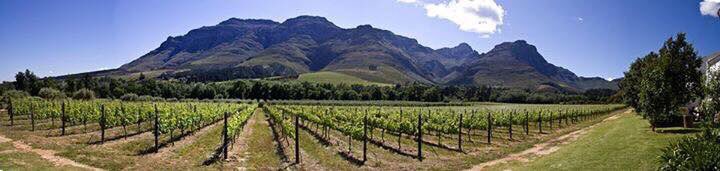 Shiraz_SA's tweet photo. #Kleinood,home of @Tamboerskloof &amp; De Boerin #OliveOil."It's not about the owner,winemaker,winery or technicalities;it's all about the wine' https://t.co/ZA4UG0A184