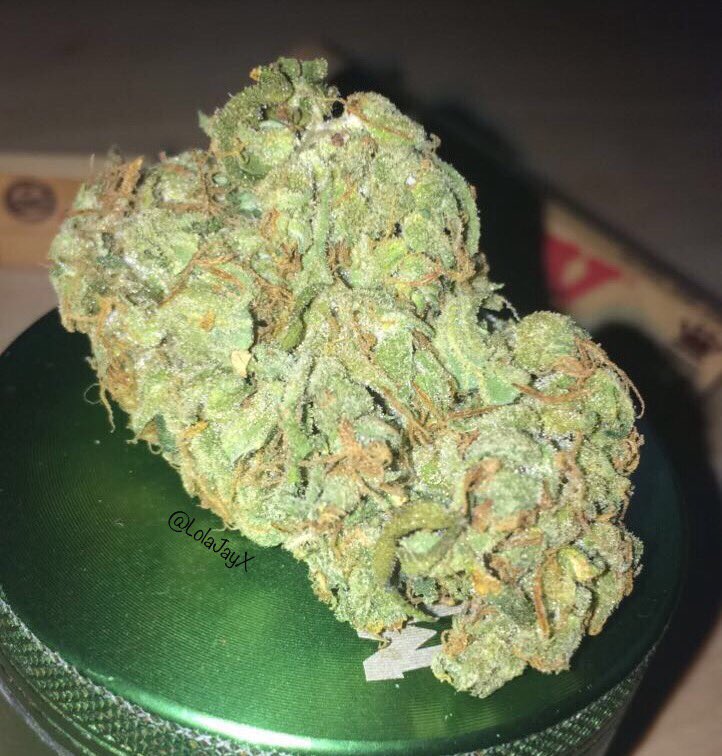 LolaJayXX's tweet photo. It's just so beautiful to me π #BudPic #StonerGirl π https://t.co/ZjVYVMabDO