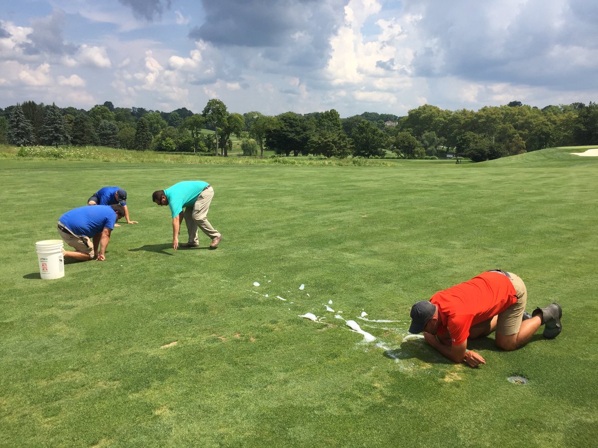 jonurbo's tweet photo. Doing a little spot checking w/ @ctlonergan @JosefoskiTurf @thephanatic247 @defino_tomd #ABWs #evilweevil https://t.co/RYHC2u7AKy