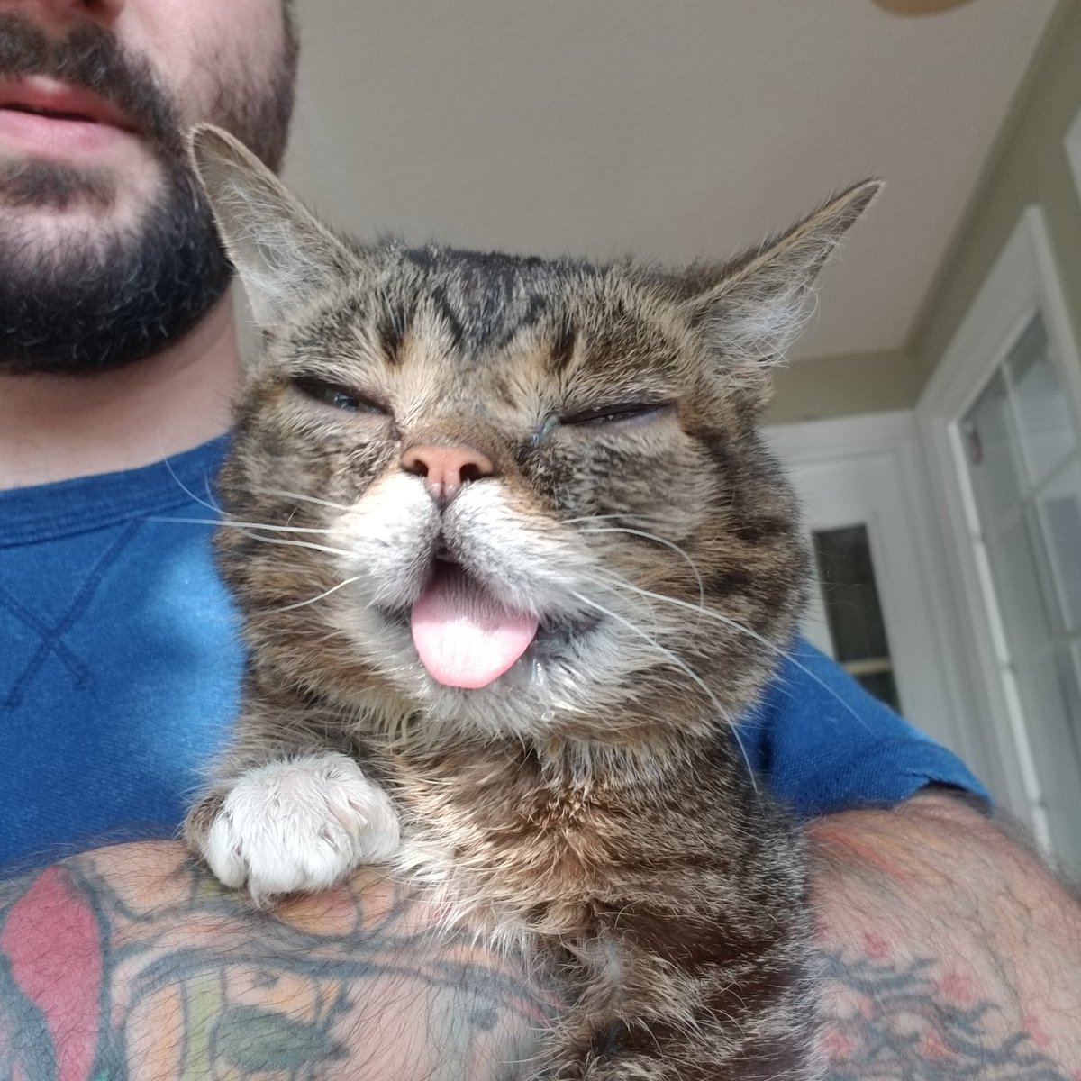 IAMLILBUB's tweet photo. BUB's tongue getting some sun. https://t.co/iblN0OZEdj