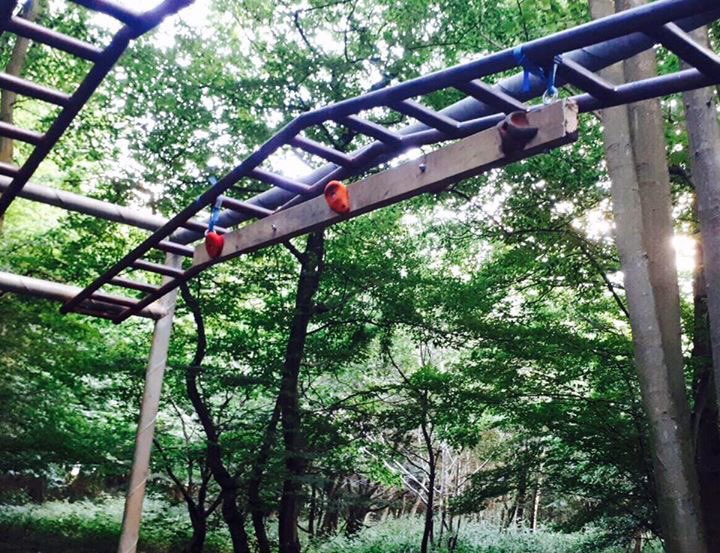 Nuclear Wild Forest (@nukwildforest) on Twitter photo .<a href="/NuclearPhoenix_/">Nuclear Phoenix OCR</a> Team Andrew's created, made & tested a new obstacle at wild-forest.co.uk - "Phoenix Valley" Gonna try it? 🌳☢️🌳 .<a href="/NuclearPhoenix_/">Nuclear Phoenix OCR</a> Team Andrew's created, made & tested a new obstacle at wild-forest.co.uk - "Phoenix Valley" Gonna try it? 🌳☢️🌳