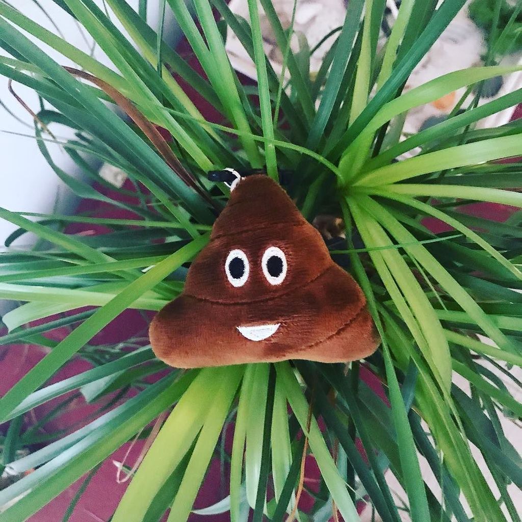 emojistuff's tweet photo. Emoji Poop Keychain Available at 👉~Link in Bio~
#emojistuffdotcom #emojis #poopemoji #emojigram #emojistuff #emoj… https://t.co/fLAoYMshEM https://t.co/pafRIQ4A8d