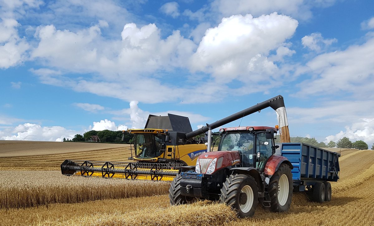 Wheat Harvest Berkshire 2017