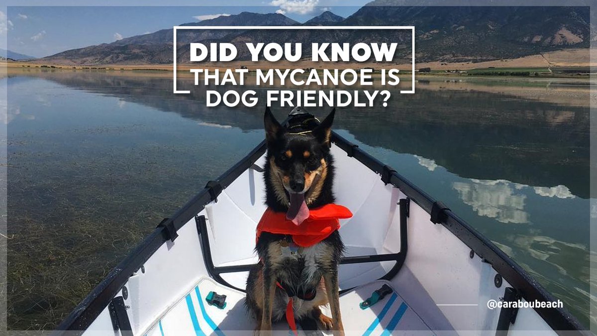 MyCanoe1's tweet photo. When you go on an #adventure, don't leave anyone behind!

https://t.co/K5pS5gEhCc

#dogfriendly #canoe #canoeing #watersports #explore https://t.co/FAkevbv1XZ