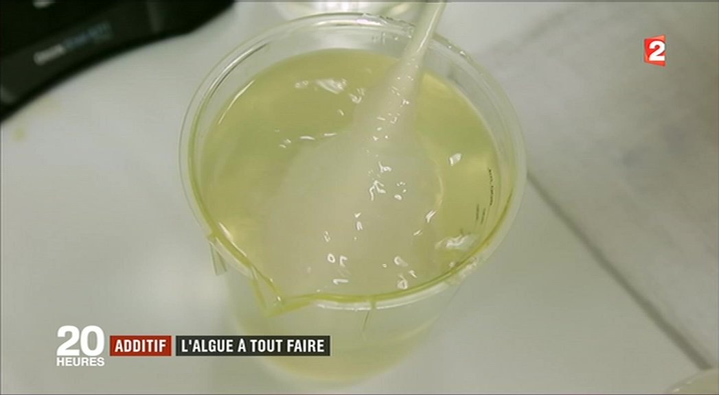 mmu_man's tweet photo. Et on retrouve les carraghenanes sur @OpenFoodFactsFr :
https://t.co/YW93k24zxp #E407 cc @france2tv https://t.co/UkwmZACayb