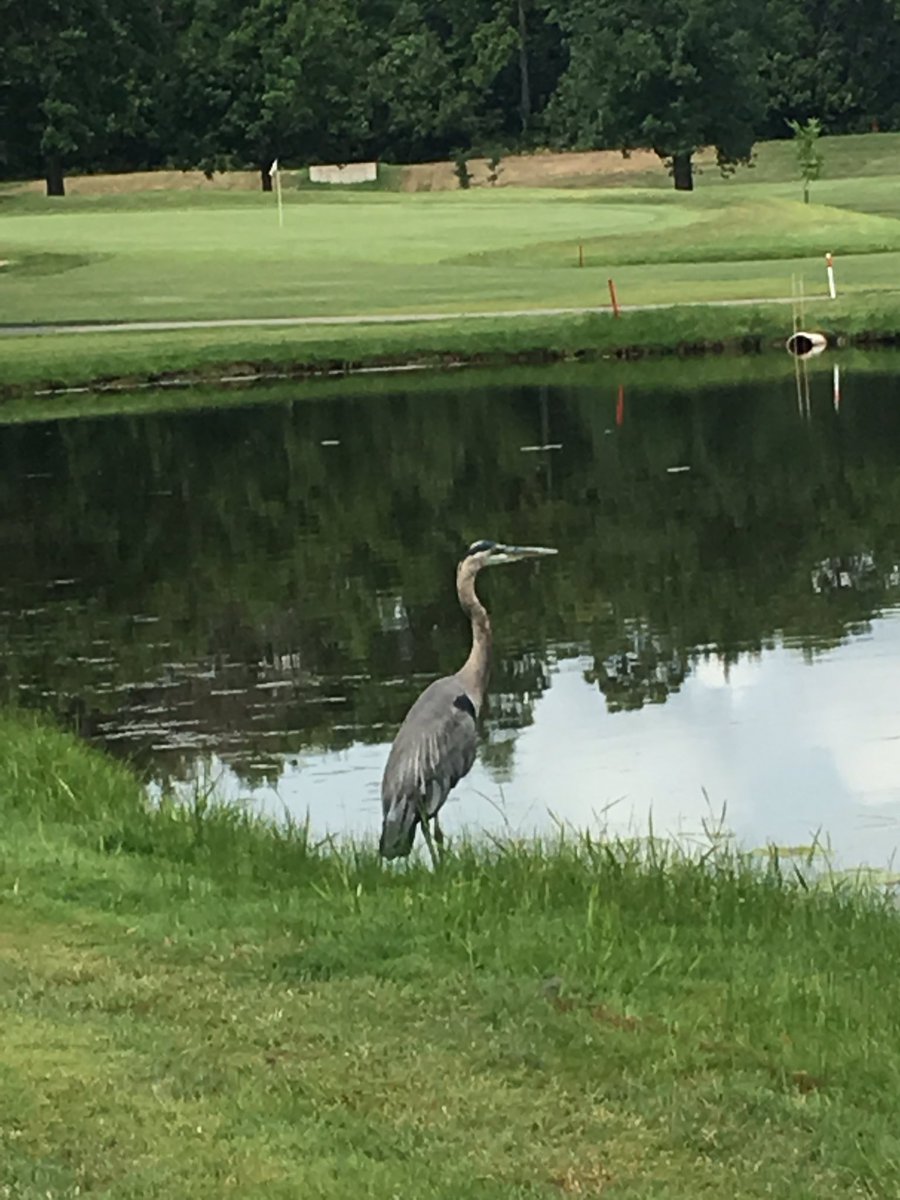 22nd Annual Lynn Dorn Women's Golf Classic.#bisonwomenclassic