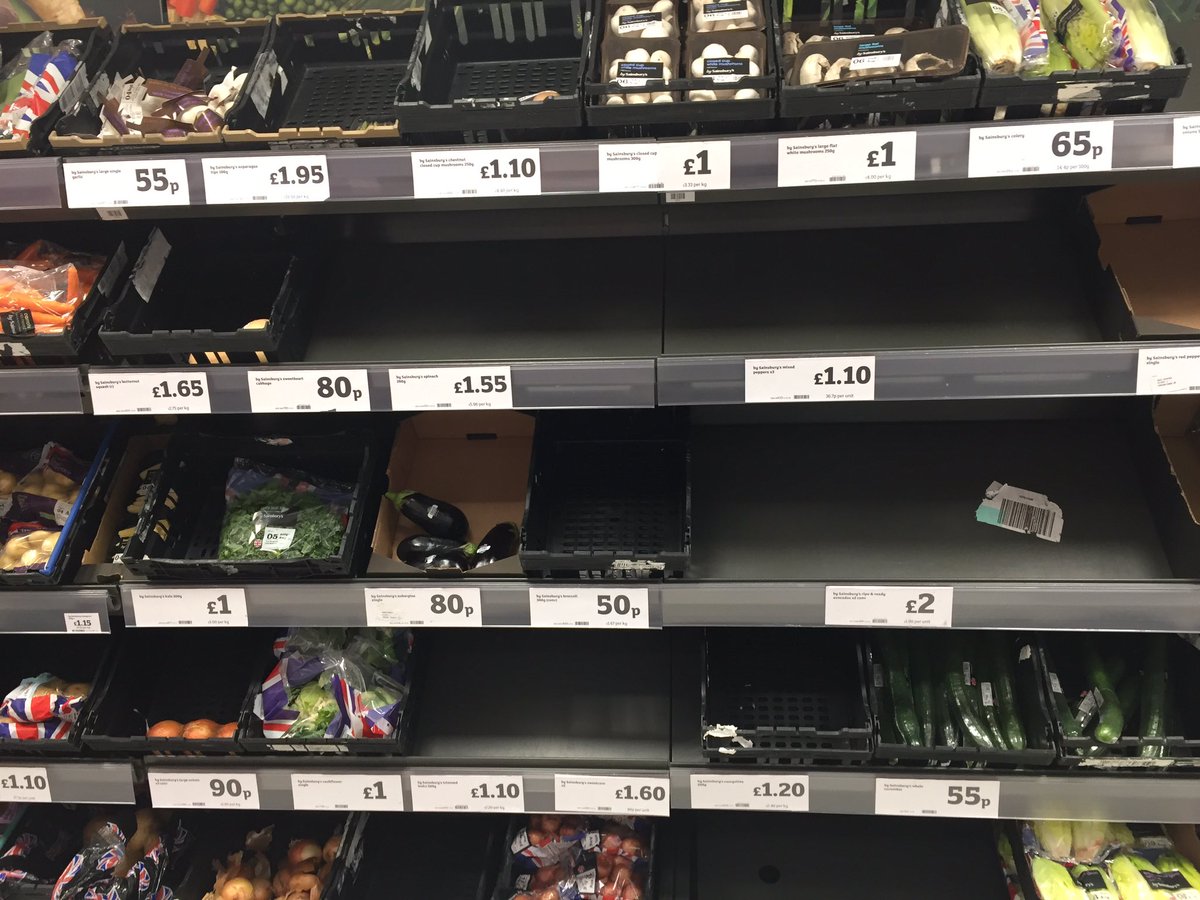 katherine Boorer tweet media