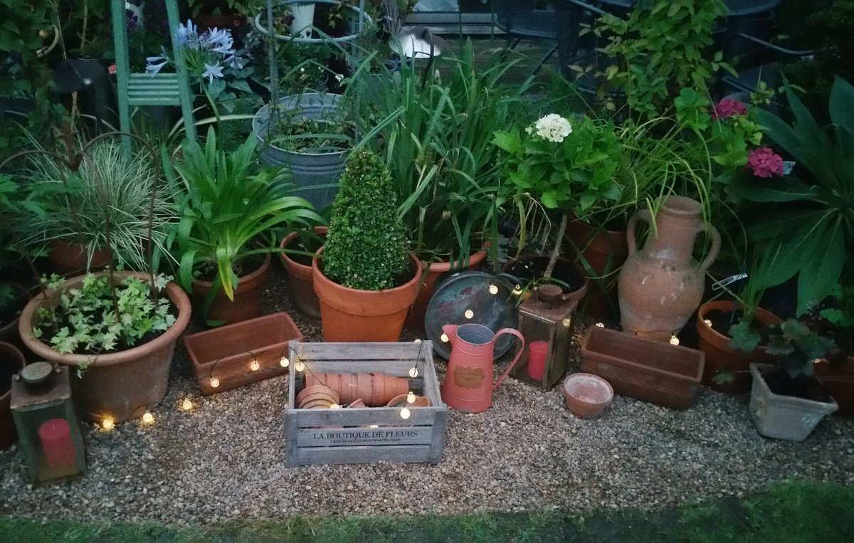 darrenlakin2's tweet photo. Last couple of evenings work in the garden. https://t.co/B63NTsJ5uX